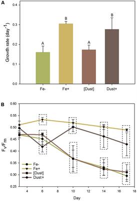 Desert Dust as a Source of Iron to the Globally Important Diazotroph Trichodesmium